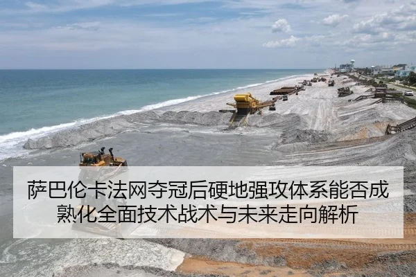 sa-ba-lun-ka-fa-wang-duo-guan-hou-ying-di-qiang-gong-ti-xi-neng-fou-cheng-shu-hua-quan-mian-ji-shu-zhan-shu-yu-wei-lai-2-167.jpg