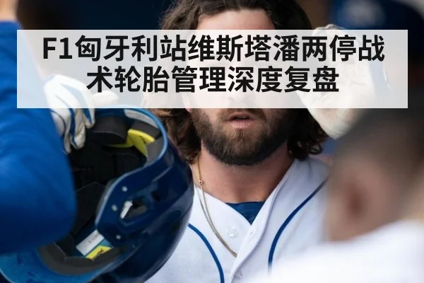 F1匈牙利站维斯塔潘两停战术轮胎管理深度复盘